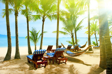 Similar image 808686