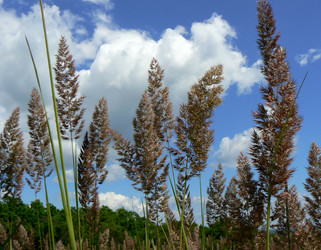 Similar image 808714