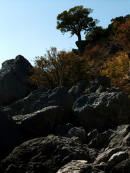 Similar image 808725