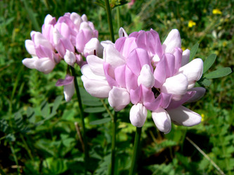 Similar image 808726