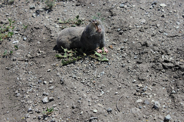 Similar image 808816