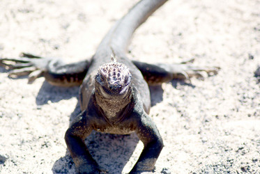 Similar image 808817