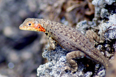 Similar image 808833