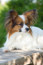 Similar image 808871