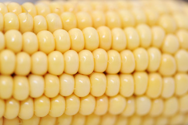 Similar image 808873