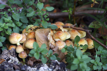 Similar image 808889