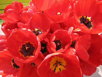 Similar image 809063