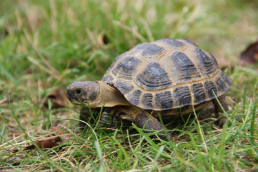 Similar image 809083