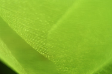 Similar image 809097