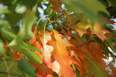 Similar image 809098