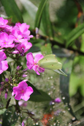 Similar image 809123