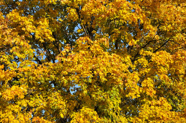 Similar image 809126