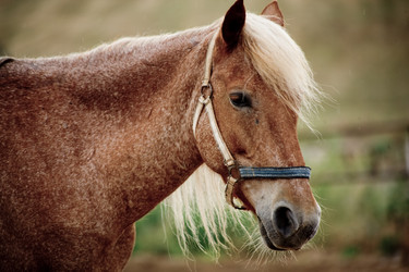 Similar image 809129