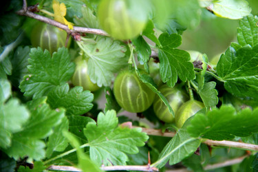 Similar image 809131