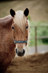 Similar image 809132