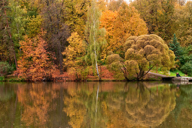 Similar image 809159