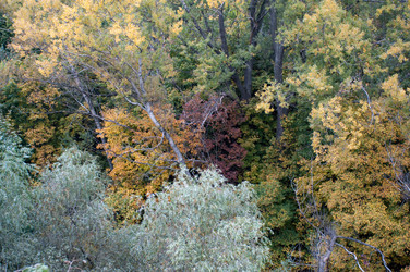 Similar image 809176