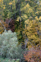 Similar image 809185