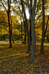 Similar image 809188