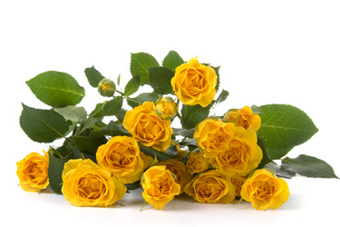 Similar image 809250