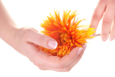 Similar image 809285