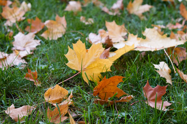 Similar image 809314