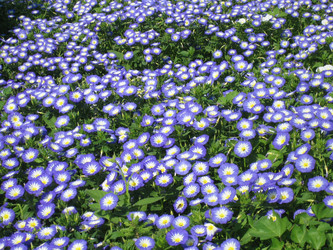 Similar image 809317