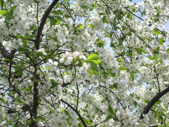 Similar image 809335