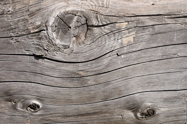 Similar image 809342