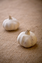 Similar image 809360