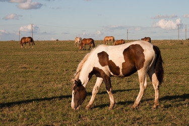 Similar image 809386