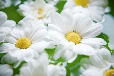 Similar image 809387