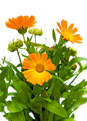 Similar image 809389