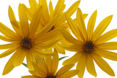 Similar image 809406