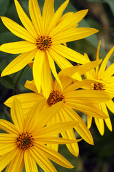 Similar image 809408