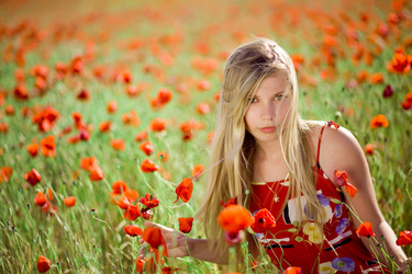 Similar image 809412