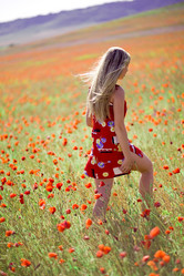 Similar image 809419