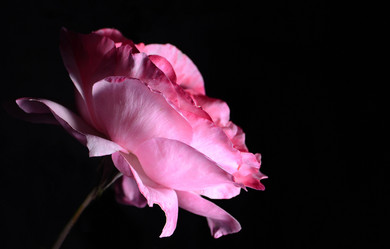 Similar image 809421