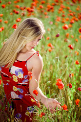 Similar image 809422