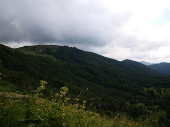 Similar image 809463