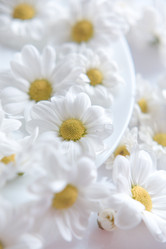 Similar image 809466