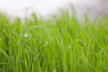 Similar image 809542