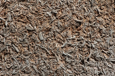 Similar image 809544