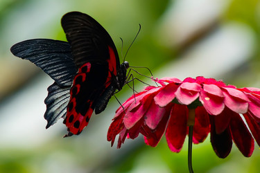 Similar image 809569