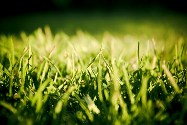 Similar image 809607