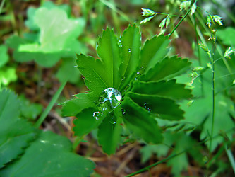 Similar image 809639