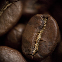 Similar image 809650