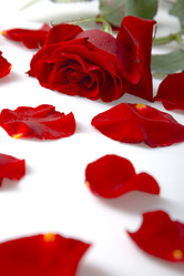 Similar image 809672