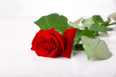 Similar image 809676