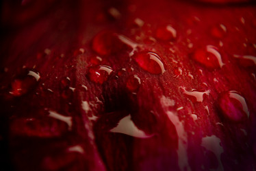 Similar image 809687